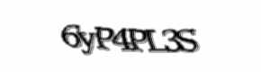 Security check image, please type the characters shown