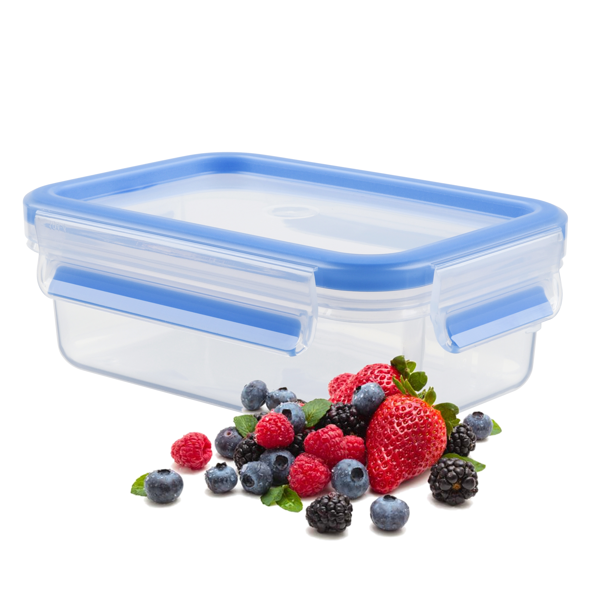 MASTERSEAL FRESH Plastique rectangulaire 0,8 L 