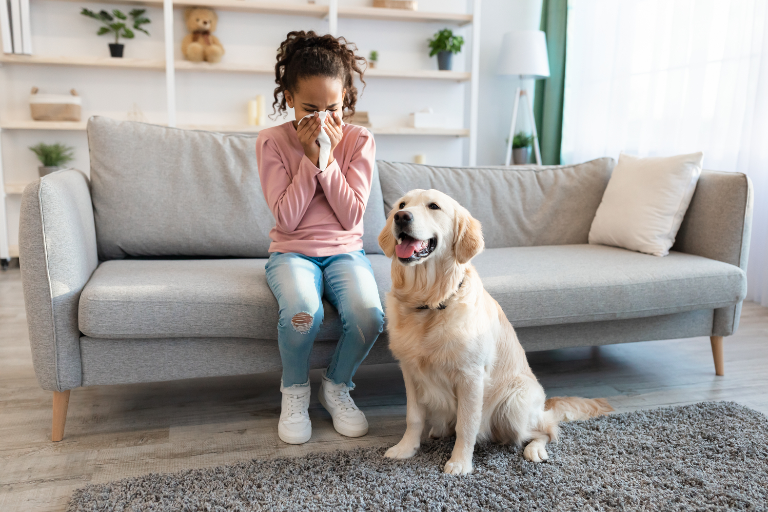 Purificateur d'air allergie chat ou allergie poils de chien