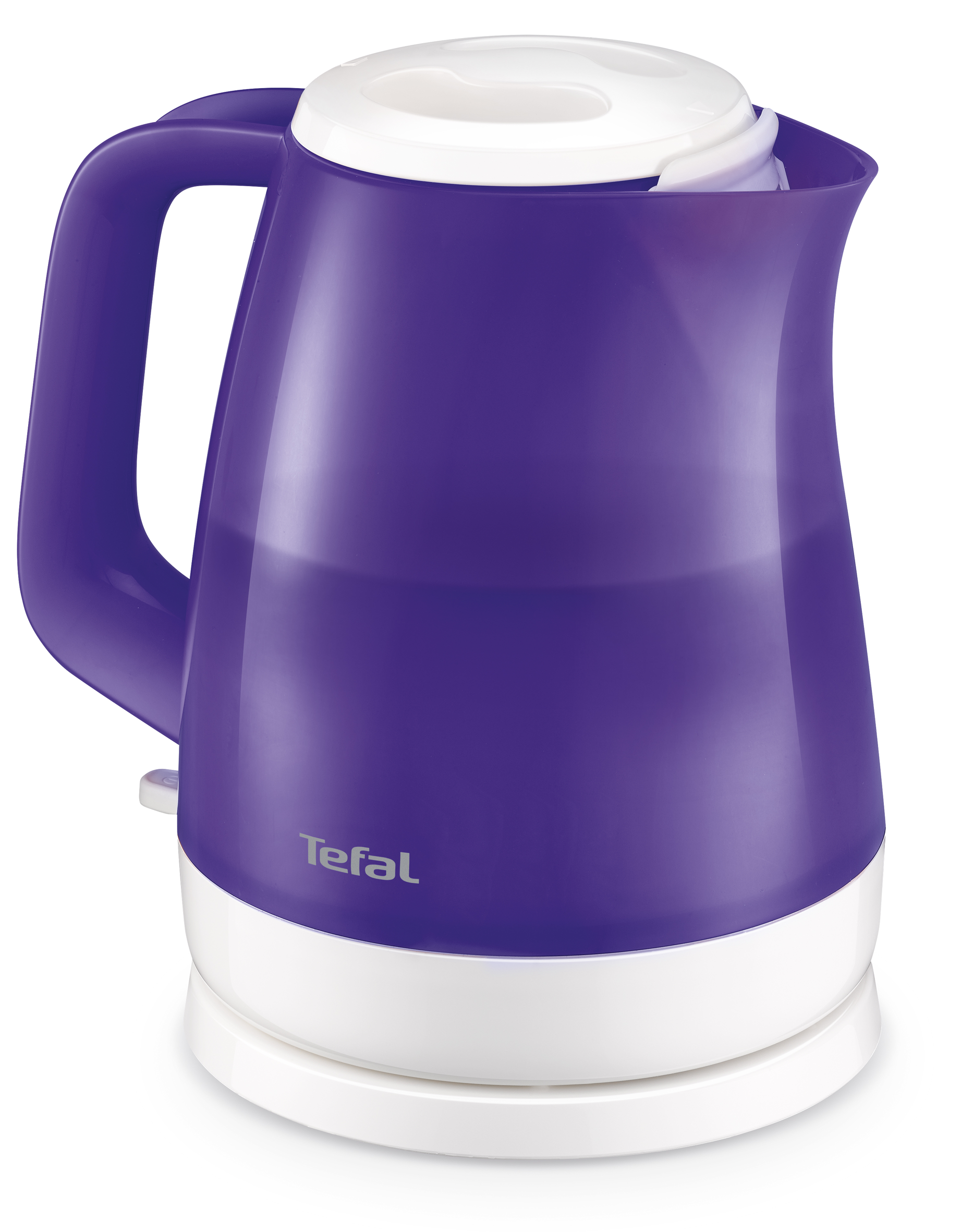 DELFINI VISION PURPLE