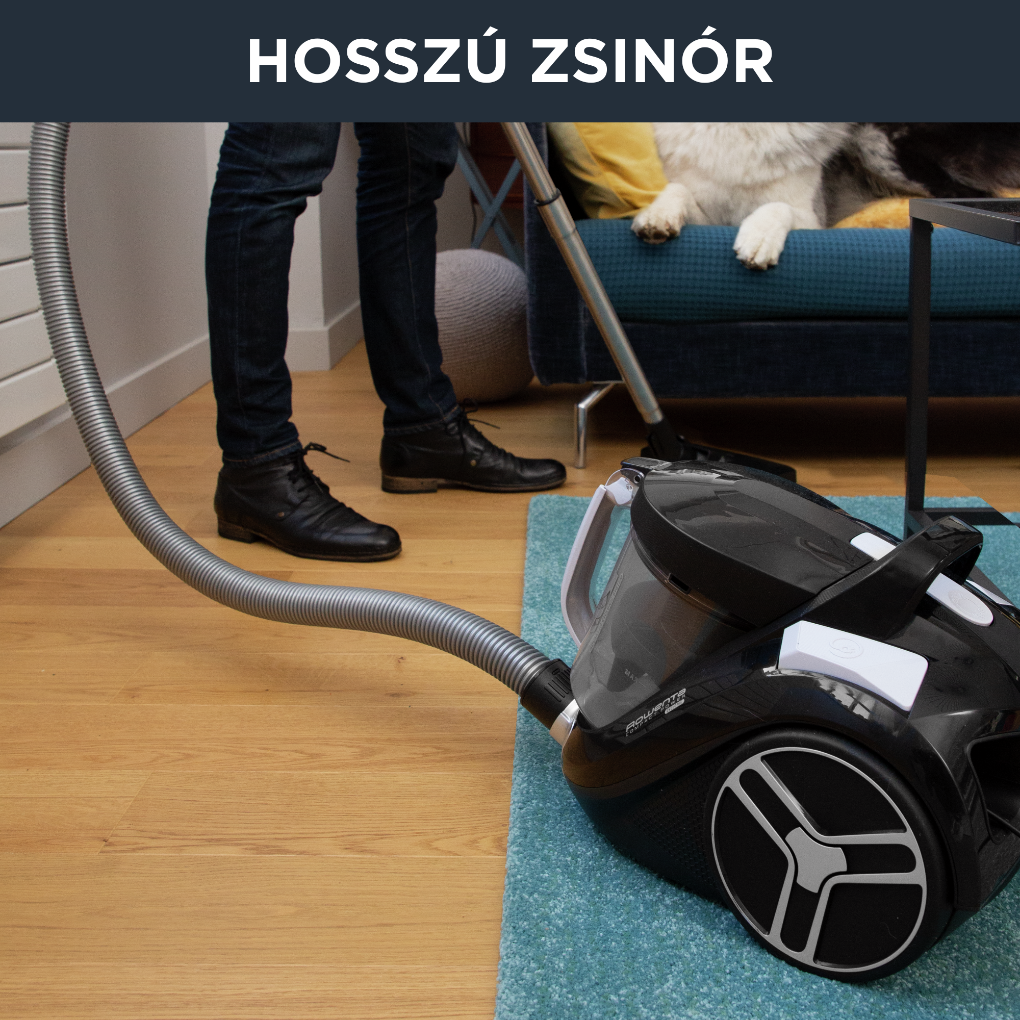 Amazon Rowenta Ro4855ea Compact Power Xxl Rowenta Ro4825ea Rowenta