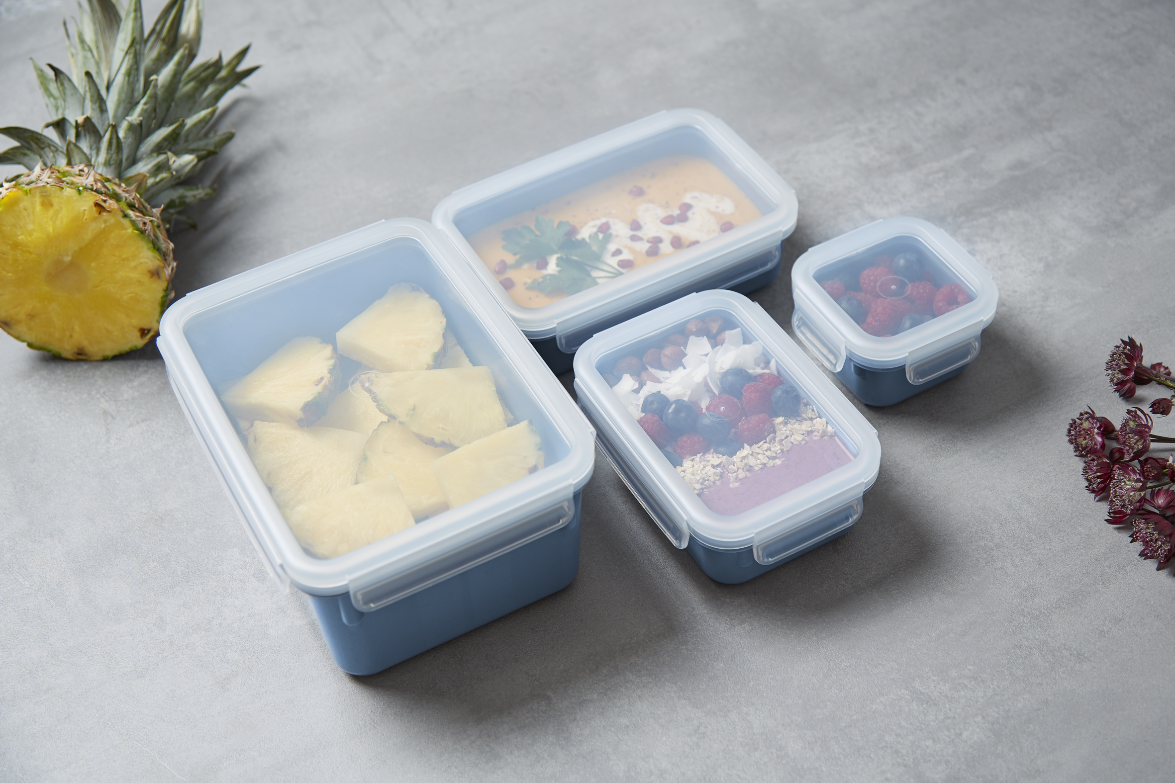 TEFAL Boîte De Conservation Rectangulaire 2,2 L - Masters