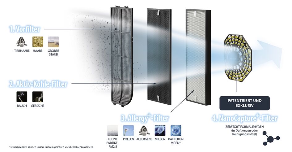 2 Filtri Aria Compatibili Rowenta Pure Air Genius PU3080 – Filtro Combinato Carbone Attivo + Allergy, Sostituisce XD6231F0