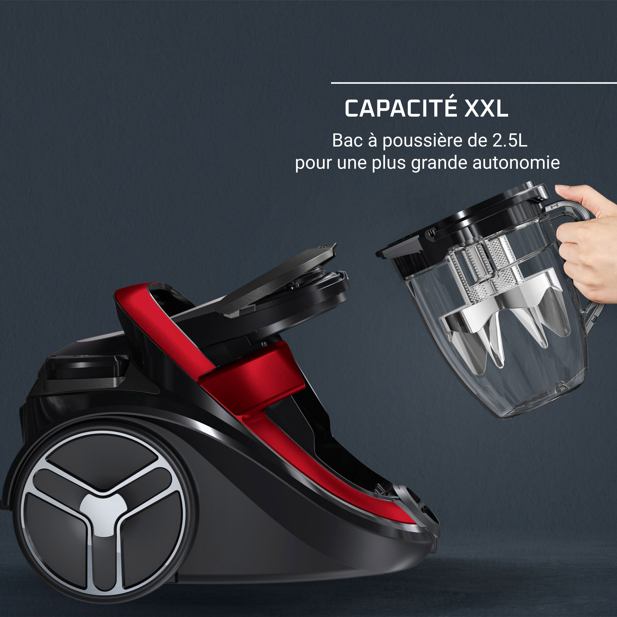 Rowenta Silence Rowenta 4aaaa Sans Sac Animal Care Pro Aspirateur