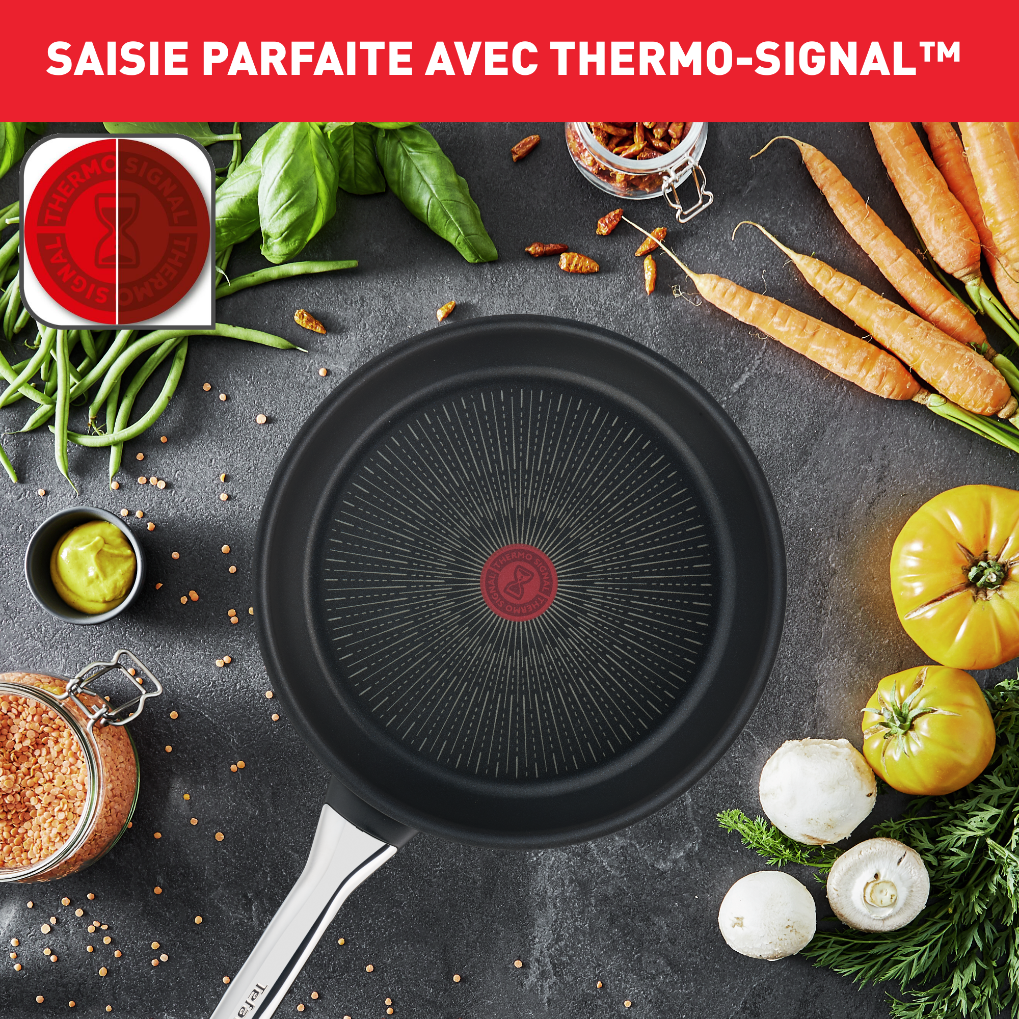 T-FAL B55906 Poêle à Frire 11,0" (28 Cm), Compatible Avec Les