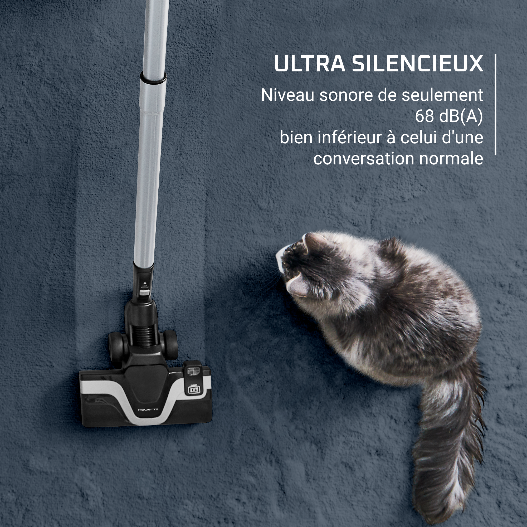 Rowenta Green Force Cyclonic Effitech - Aspirateur Sans Sac Super Silencieux Et écolo, 2,5L, 68 DB, Fabriqué En France