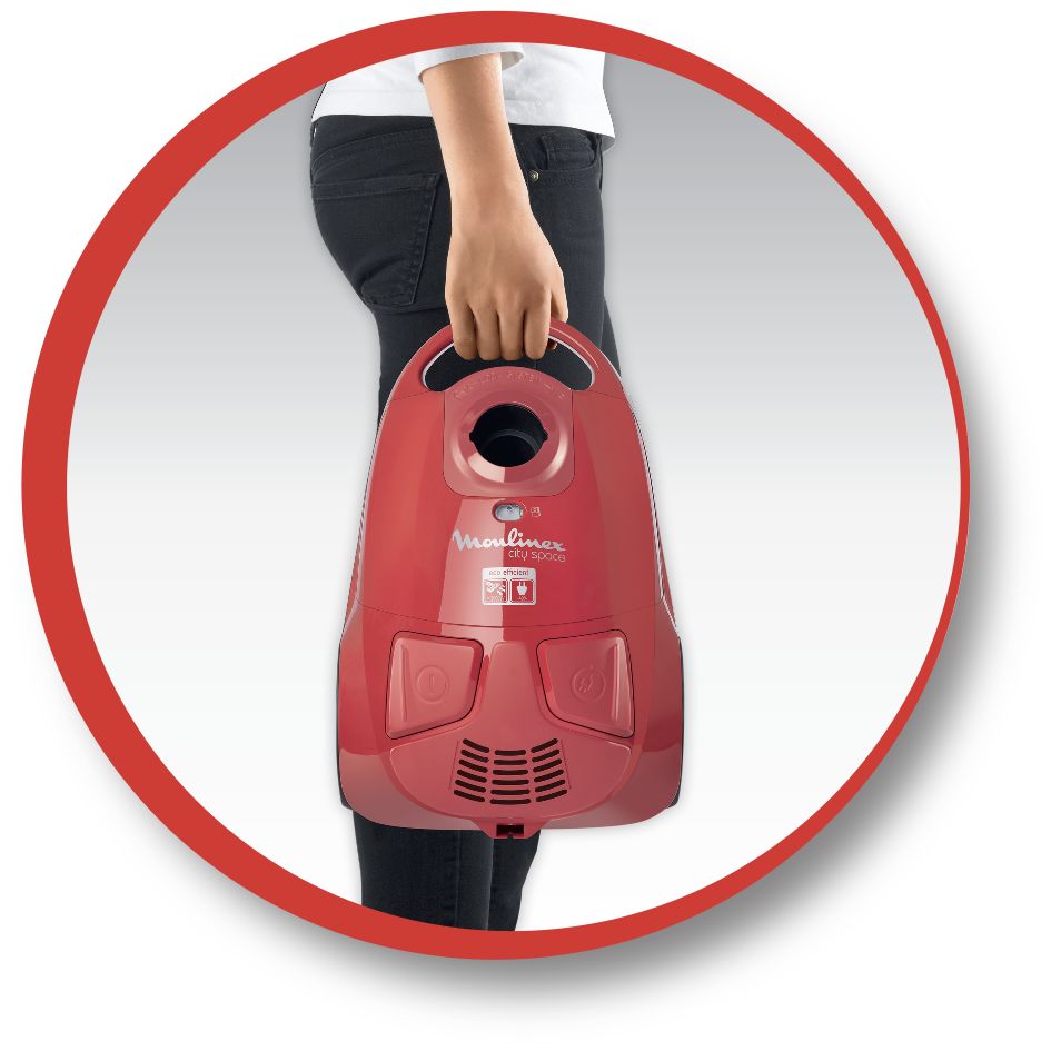 Sacchetti Aspirapolvere Moulinex Gimini