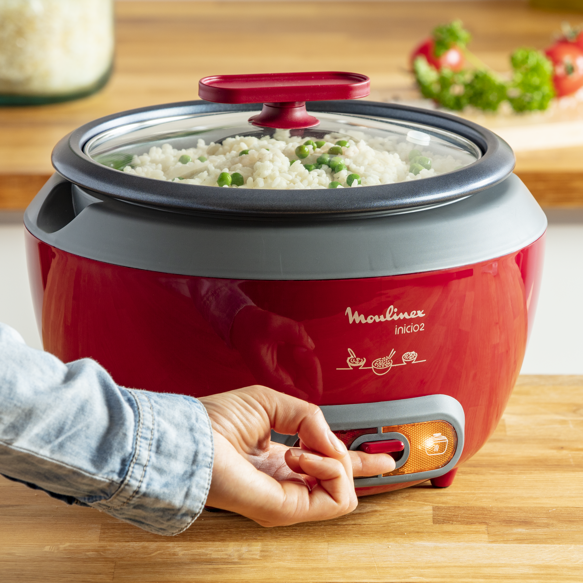 4 Set Contatti Argento Per Cuociriso - Interruttore Temperatura - Ricambi Originali - Foto 10