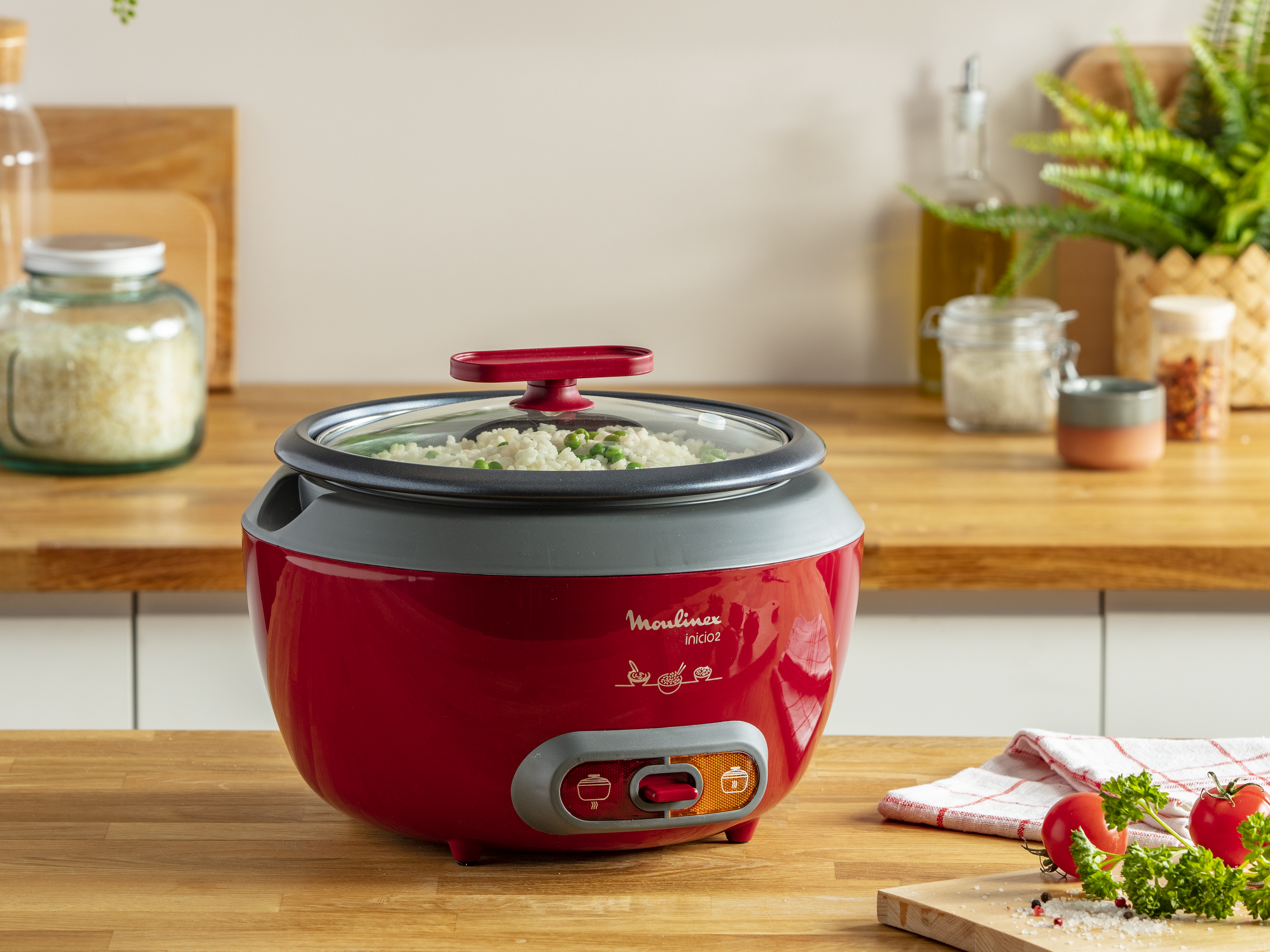 4 Set Contatti Argento Per Cuociriso - Interruttore Temperatura - Ricambi Originali - Foto 12